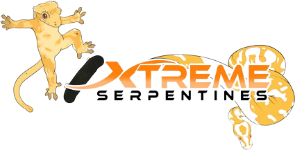Xtreme Serpentines